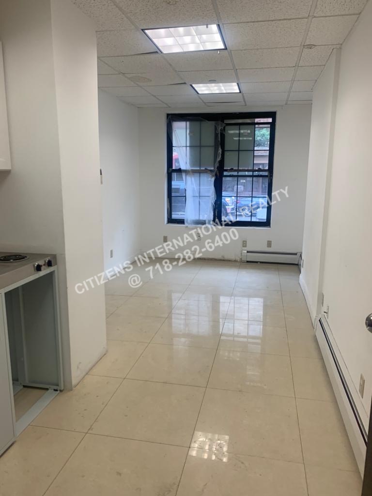  Rogers   Brooklyn, NY 11225, MLS-CR165-2